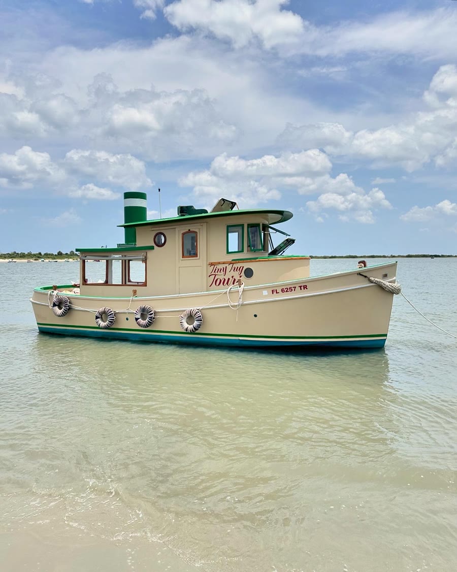 Daytime dolphin tour aboard the Lady Augustine